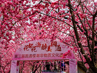 云南大理麗江私人定制旅游_云南大理麗江游 旅行團(tuán)_云南大理麗江旅游跟團(tuán)需多少錢