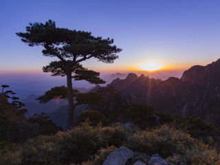 廣州婺源廬山旅游團(tuán)_旅游團(tuán)婺源廬山_婺源廬山旅游費(fèi)用多少