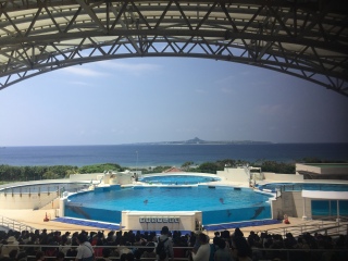 六月到美国旅游_公司美国旅游_美国6日跟团旅游
