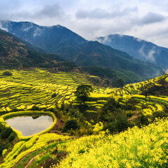 景点模块 