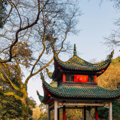 活动模块 