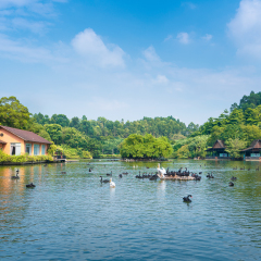 景点模块 