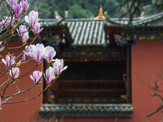 云南最适合旅游的季节_到云南旅游跟团_云南7天游