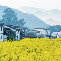 小交通模块 