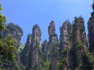 報(bào)團(tuán)去湖南張家界多少錢_湖南張家界跟團(tuán)還是自由行_以往國慶湖南張家界游價(jià)格