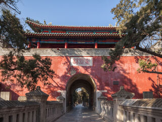 青島旅行團_組團去青島_正月青島游報價