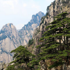 景点模块 