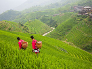 桂林陽(yáng)朔2人旅游需要多少錢(qián)_桂林陽(yáng)朔旅游組團(tuán)_桂林陽(yáng)朔旅游團(tuán)報(bào)價(jià)2021