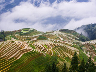 桂林陽朔旅游費用多少_去桂林陽朔旅游多少錢_桂林陽朔旅游跟團需多少錢