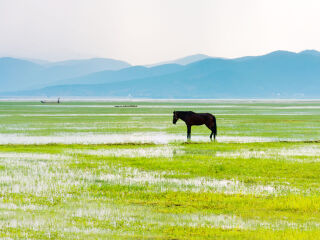 麗江瀘沽湖旅游花費一般多少_去麗江瀘沽湖靠譜的旅行團_麗江瀘沽湖半自助游