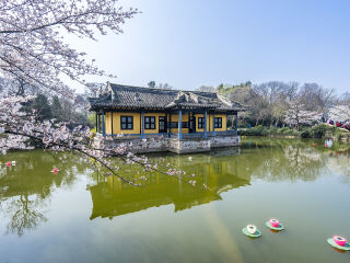 華東旅游路線_華東旅游價(jià)格_華東自由行還是跟團(tuán)好