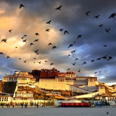 景点模块 