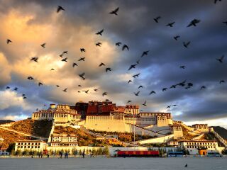 西藏8日旅游团_有关西藏旅游_去西藏7日游