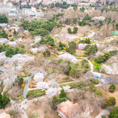 活动模块 