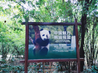 成都旅行线路_成都旅游多少钱跟团_成都游旅行团报价