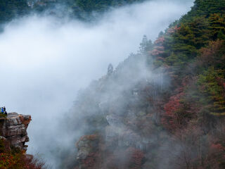 旅游團(tuán)廬山_廬山報(bào)團(tuán)多少錢_東莞到廬山游