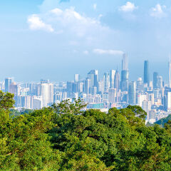 小交通模块 