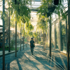 活动模块 