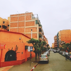 活动模块 