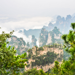 景点模块 