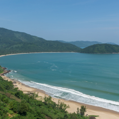 活动模块 