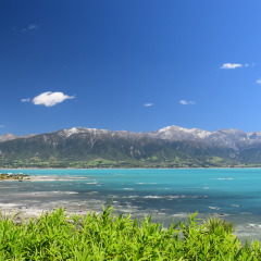 活动模块 