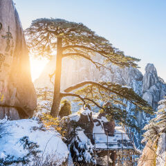 景点模块 