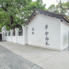 活动模块 