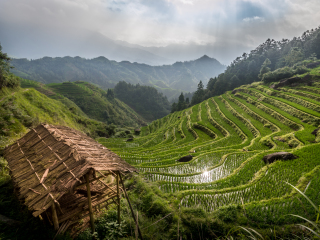 2021去桂林陽朔旅游團報價_桂林陽朔游跟團多少錢_跟團桂林陽朔旅游價格表