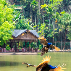 景点模块 