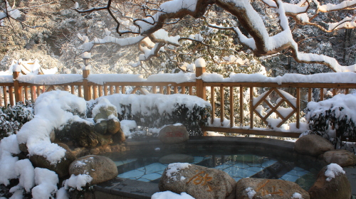  哈尔滨-雪乡-魔界-雾凇7日游>经典线路(当地游)