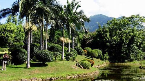 熱帶植物園