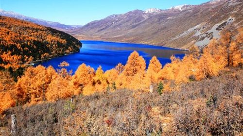 早餐後7點出發前往有小九寨之稱的木格措風景區(又叫野人海,門票已含)