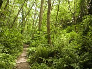 尼亚加拉大瀑布公园