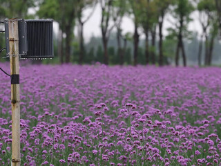 紫海鹭缘爱情主题公园