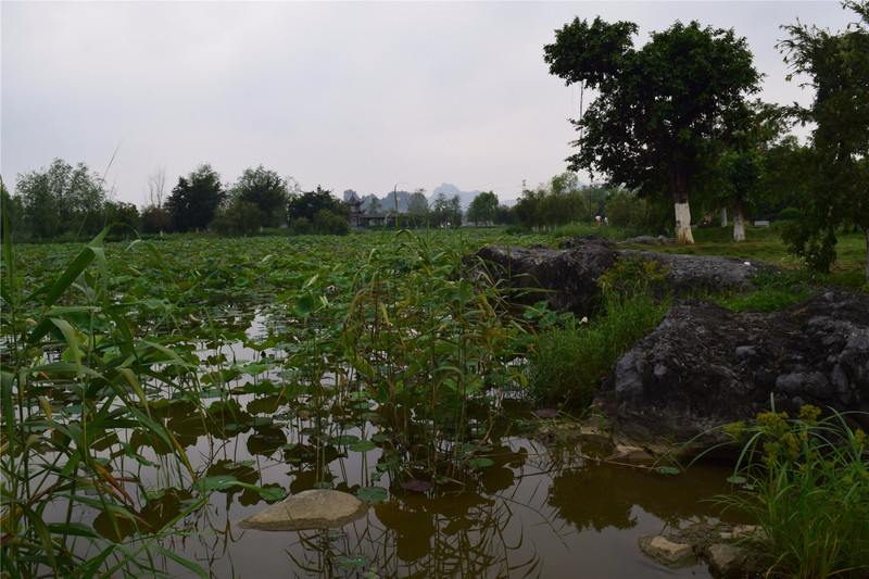 會仙河公園一日遊_北流市遊記_途牛