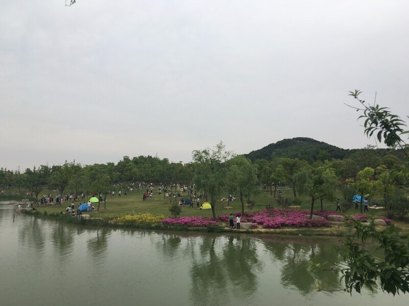 凤凰湖,在凤凰山下婉约妩媚