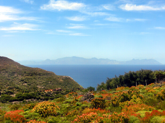 走进彩虹之国——南非