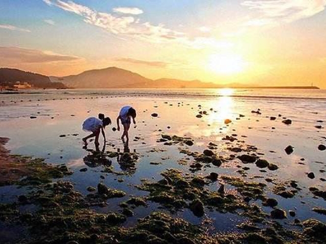  日照万平口海滨浴场-奇趣海洋馆-李家台赶海园-海上划龙舟2日游>门票