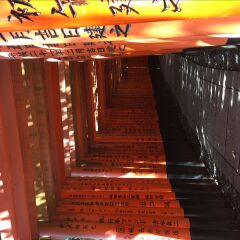 伏见稻荷大社
