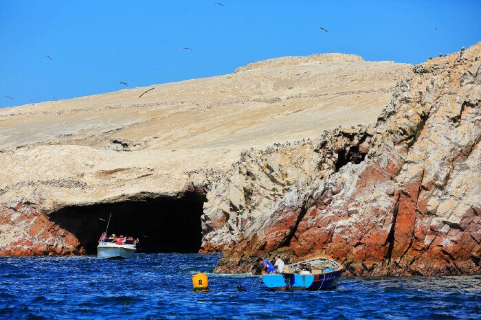 岛上有许多木架子,导游说是用来收集鸟粪的.