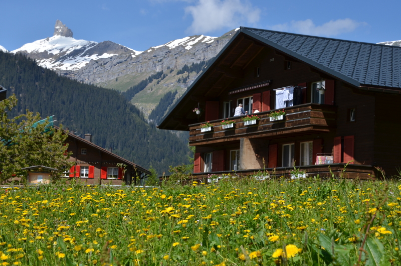 瑞士之旅世界花园中漫步
