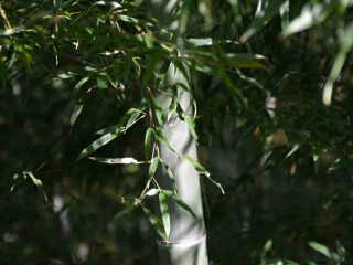 常州天目湖太公山