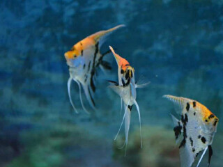 常州天目湖太公山