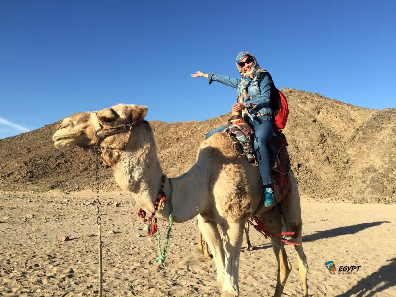 来沙漠当然少不了骑骆驼,非洲的单峰驼还是头一次见.