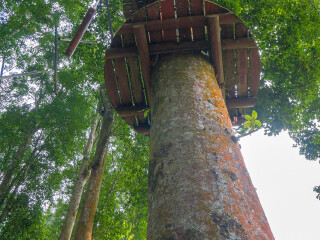 巴厘岛树顶冒险公园