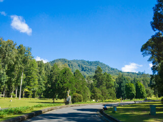 巴厘岛树顶冒险公园