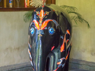 巴厘岛大象野生动物园