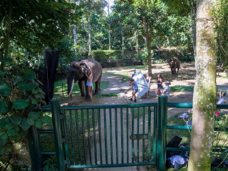 巴厘岛大象野生动物园