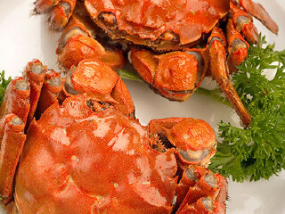 蟹甲天下固城湖螃蟹(天元西路店)